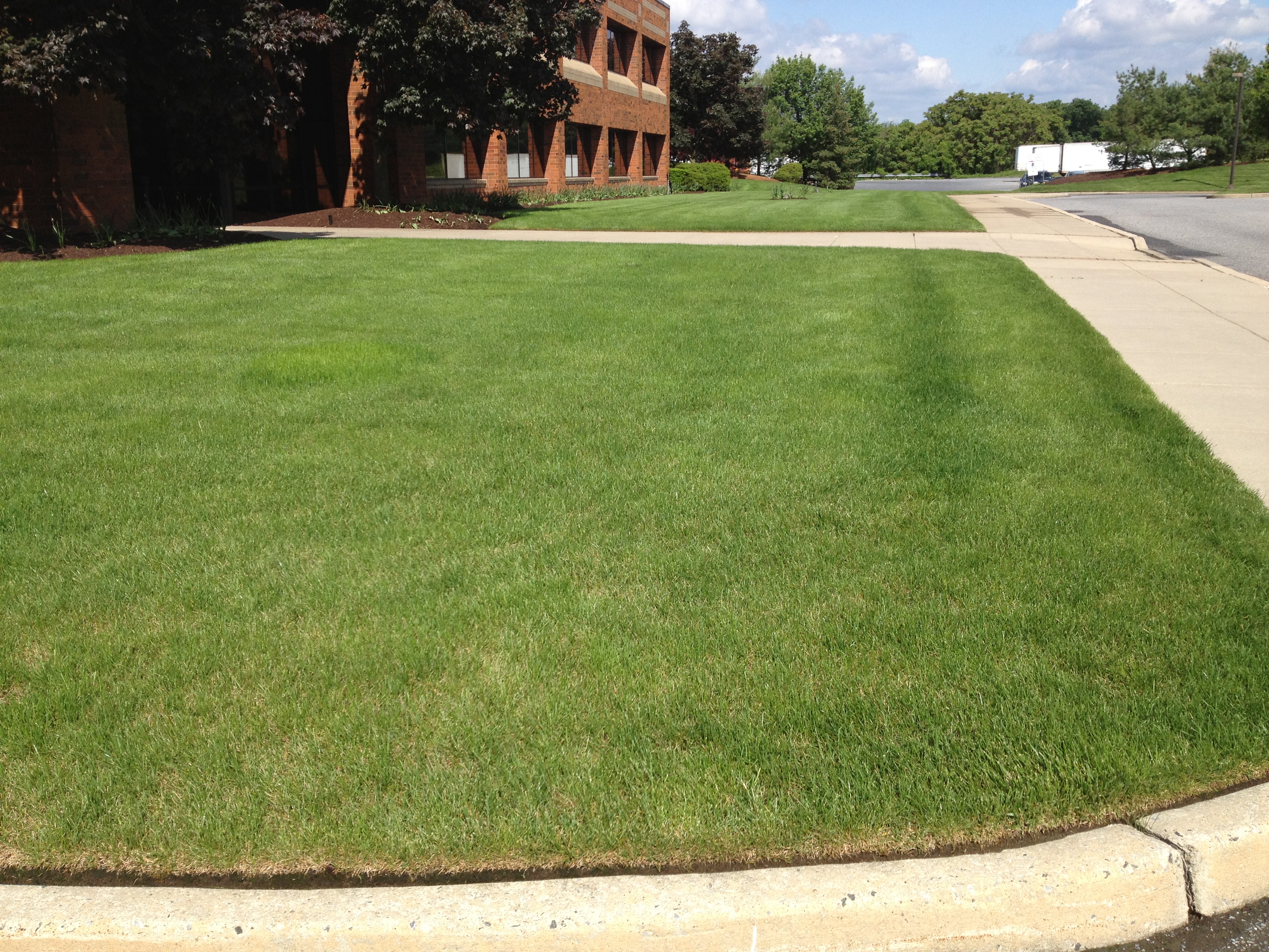 This album shows some photos of the lawns we treat in your area.
